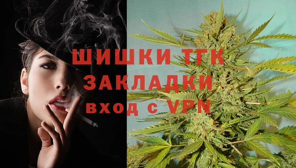 сатива Богородск