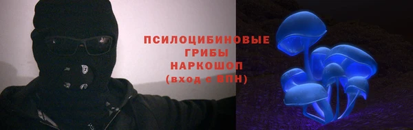 дурь Богородицк