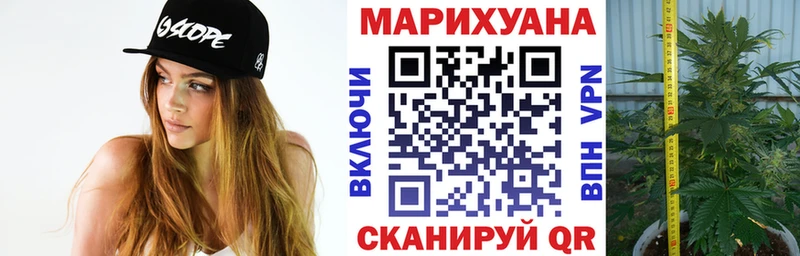купить omg рабочий сайт Конопля Bruce Banner Городовиковск